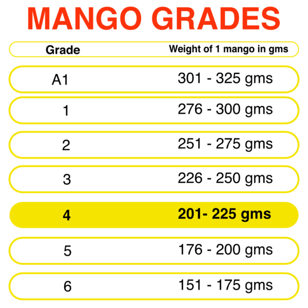 Buy Devgad Alphonso Mangoes online – Fresh Alphonso Mangoes from Devgad