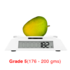 Buy Devgad Alphonso Mangoes online – Fresh Alphonso Mangoes from Devgad