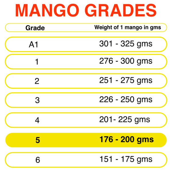Buy Devgad Alphonso Mangoes online – Fresh Alphonso Mangoes from Devgad