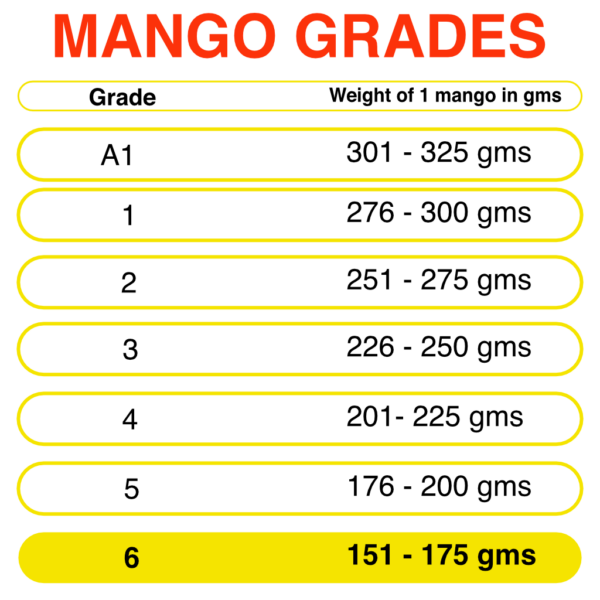 Buy Devgad Alphonso Mangoes online – Fresh Alphonso Mangoes from Devgad