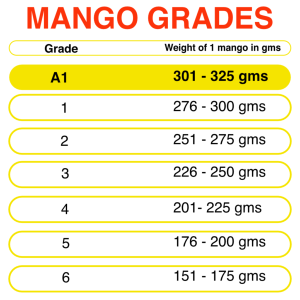 Buy Devgad Alphonso Mangoes online – Fresh Alphonso Mangoes from Devgad